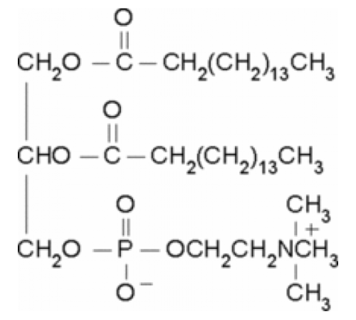 1,2-дипальмитоил-рац-глицеро-3-фосфохолин ~ 99% Sigma P5911