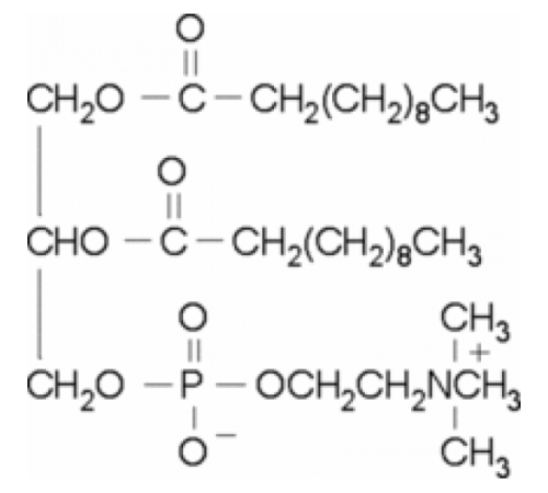 1,2-диундеканоил-sn-глицеро-3-фосфохолин ~ 99% Sigma P8898