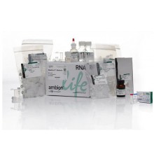 Набор RiboPure RNA Purification Kit, bacteria, Thermo FS