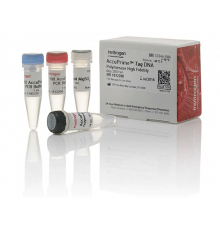 ДНК-полимераза AccuPrime Taq DNA Polymerase, high fidelity, Thermo FS