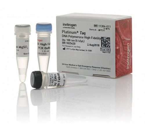 ДНК-полимераза Platinum Taq DNA Polymerase High Fidelity, Thermo FS