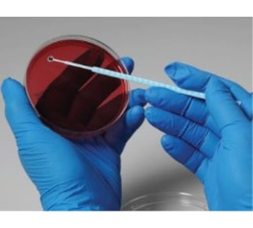 Campylobacter coli, штамм ATCC 33559, 5 петель, Thermo FS Campylobacter coli, штамм ATCC 33559, 5 петель, Thermo FS